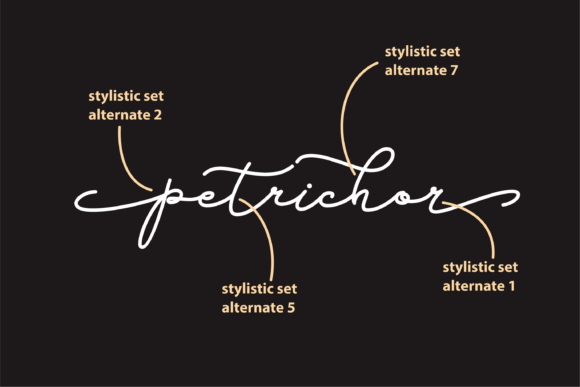 Petrichor: A Handwritten Font That Breathes Quiet Confidence