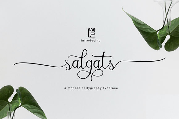 Salgats: An Elegant Script Font for Digital Branding