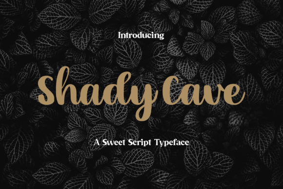 Shady Cave: A Handwritten Font for Editorial Warmth