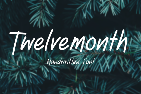 Twelve Month: A Handwritten Script Font for Scroll-Stopping Campaigns